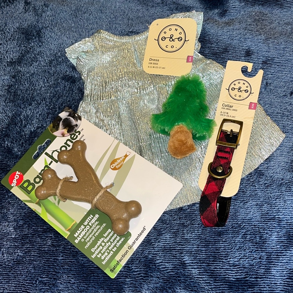 4pc Festive Dog Set